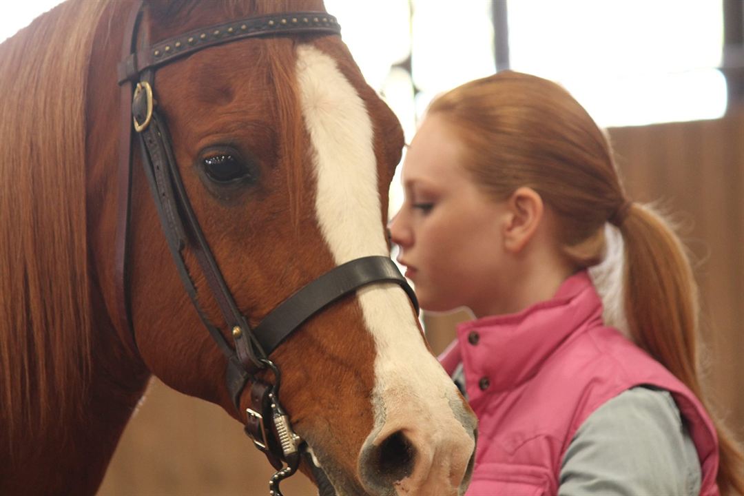 Glory - Eine ungezähmte Freundschaft : Bild