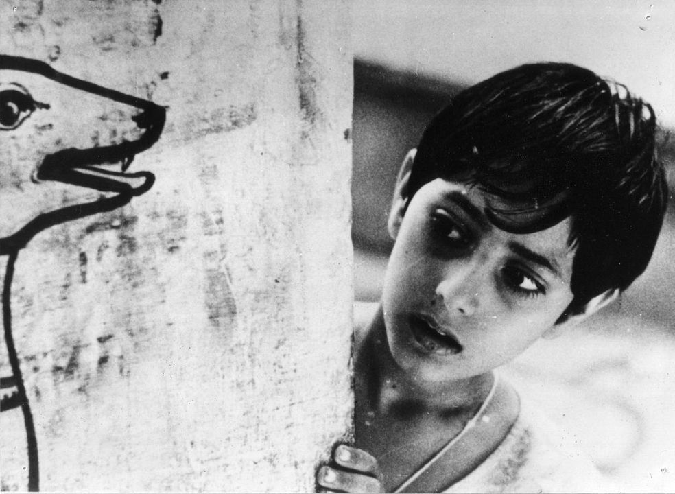 Aparajito : Bild Pinaki Sen Gupta