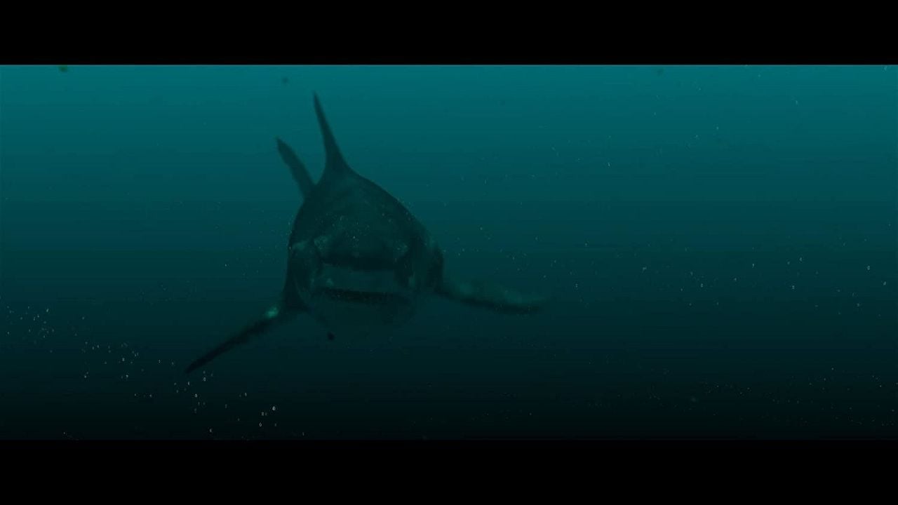 Megalodon Rising - Dieses Mal kommt er nicht allein : Bild