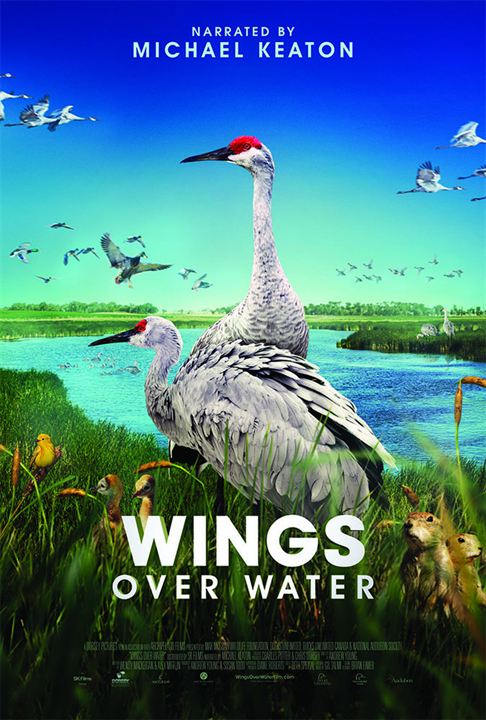 Wings Over Water : Kinoposter