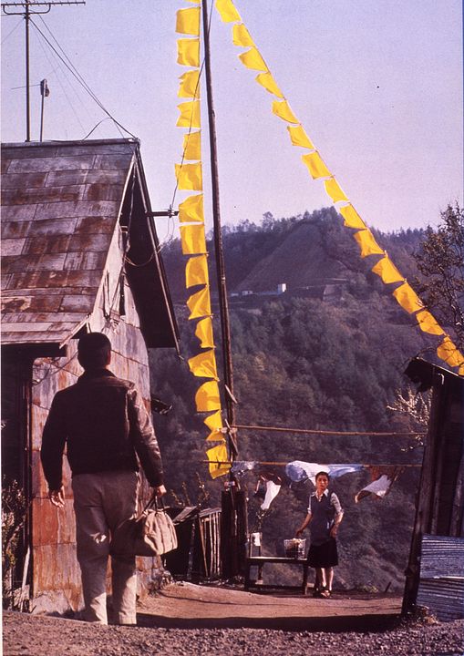 The Yellow Handkerchief : Bild