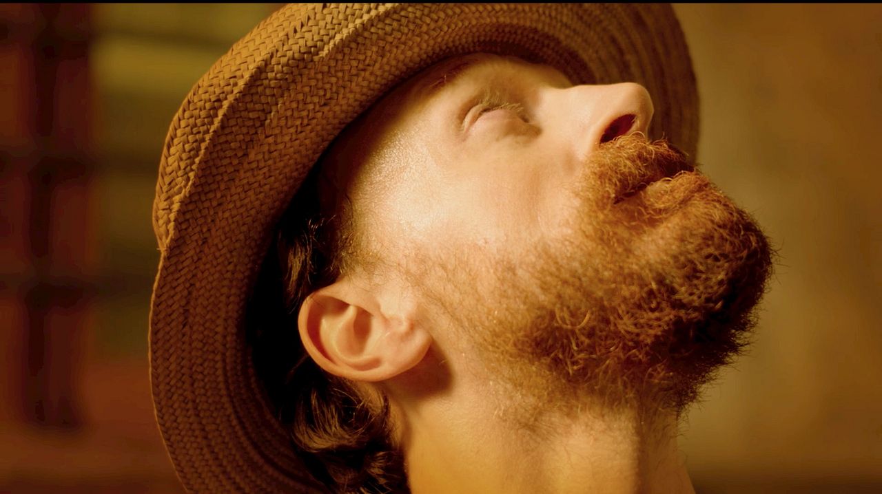 Exhibition On Screen: Sonnenblumen : Bild