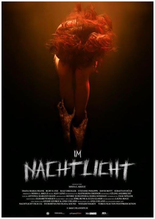 Im Nachtlicht : Kinoposter