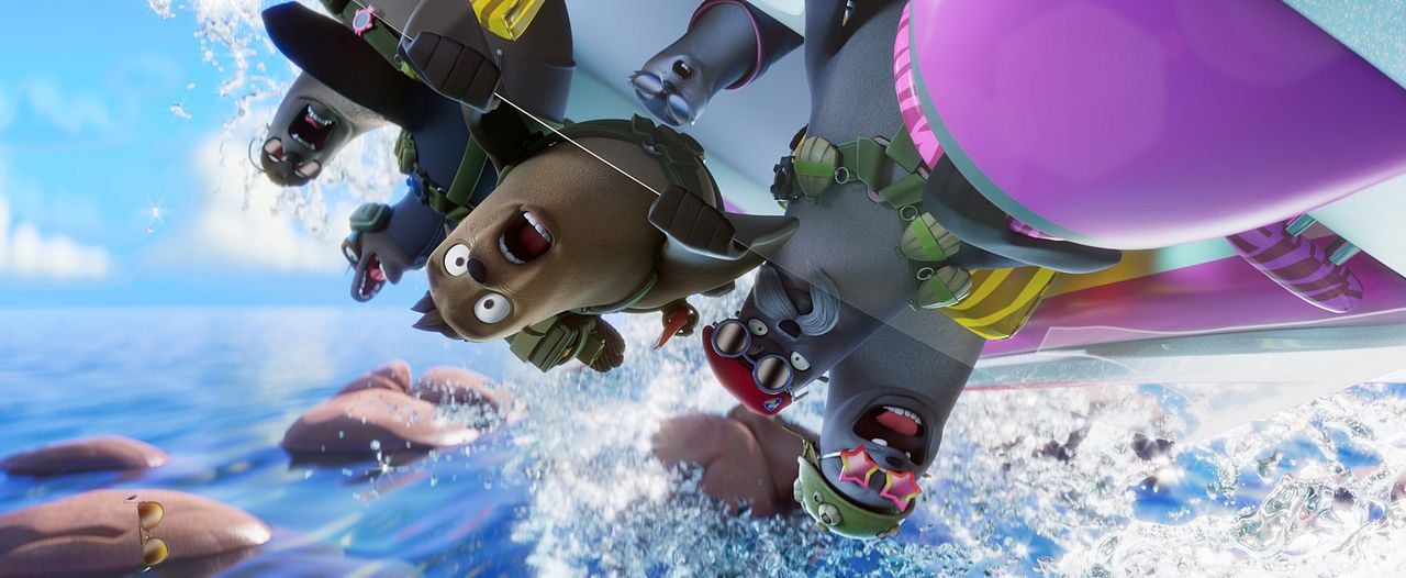 Das Seehund-Team : Bild