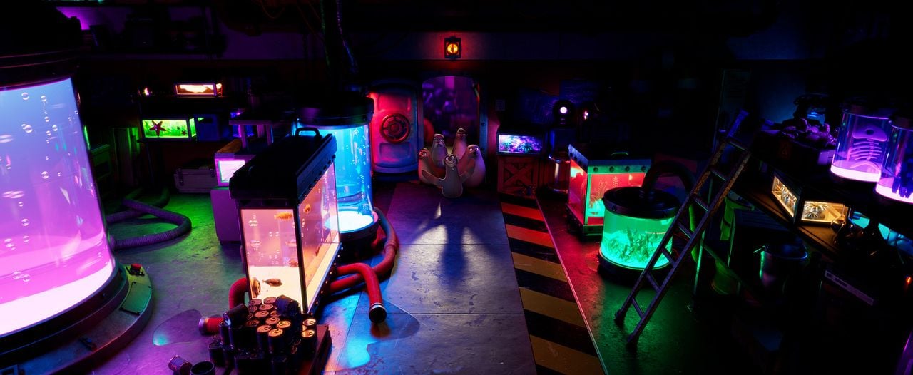 Das Seehund-Team : Bild