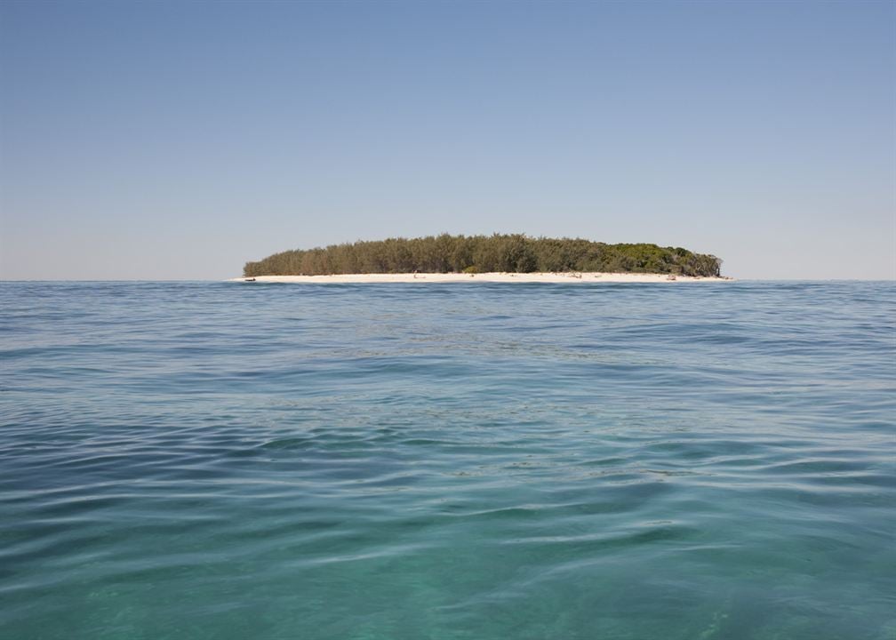 Dark Beach - Insel des Grauens : Bild