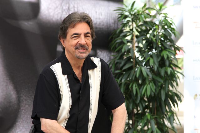 Bild Joe Mantegna
