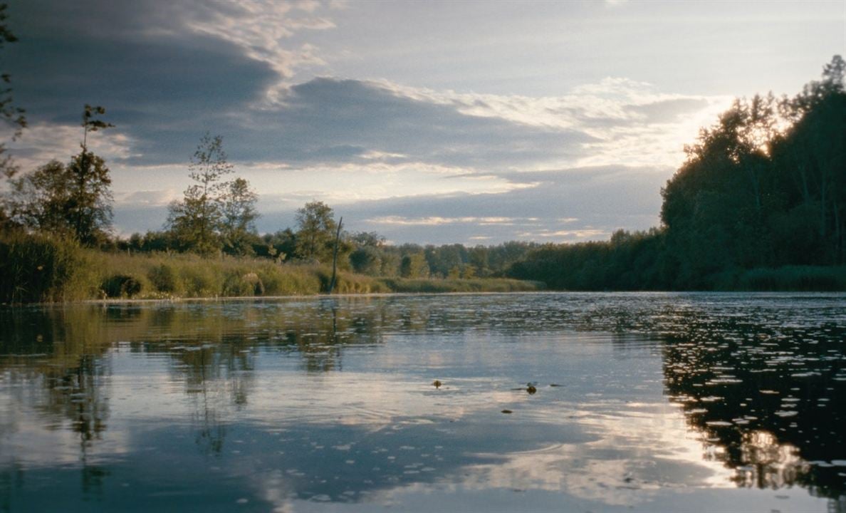 Grenzgänger : Bild