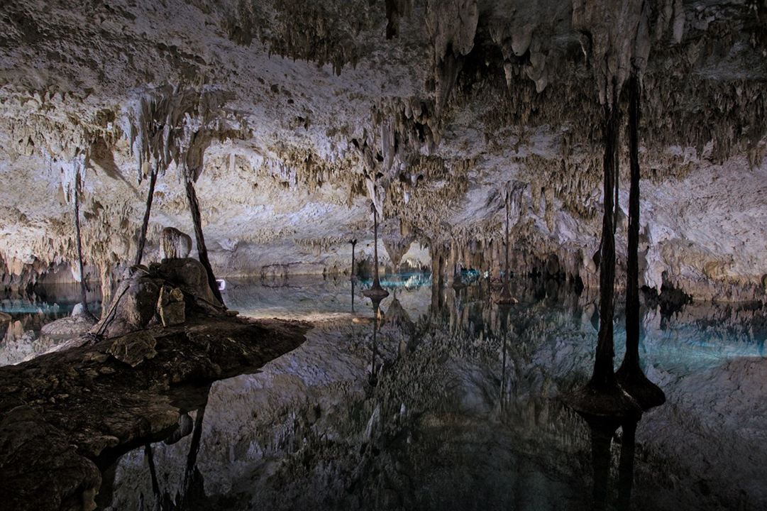 Verborgene Welten 3D - Die Höhlen der Toten : Bild