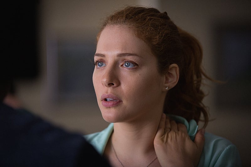 Under The Dome : Bild Rachelle LeFevre