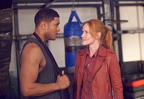 Ray Donovan : Bild
