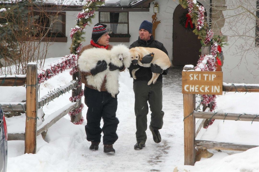 Ein Hund rettet die Weihnachtsferien : Bild Joey Diaz, Dean Cain