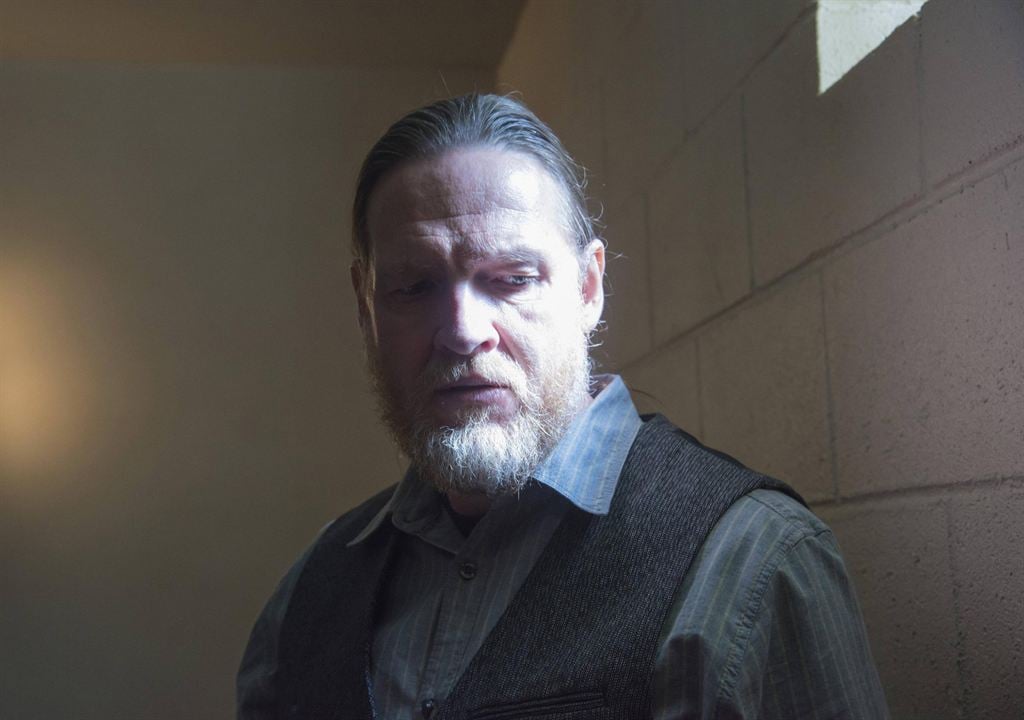 Sons Of Anarchy : Bild Donal Logue