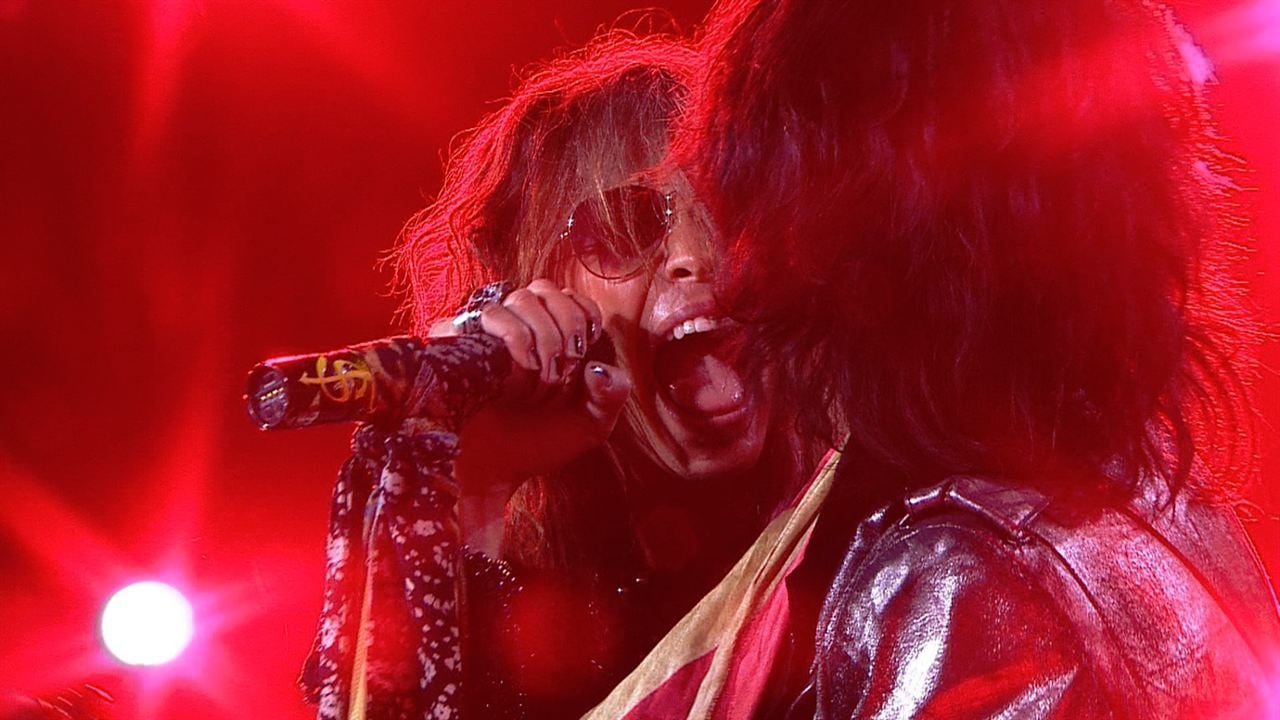 Concert Aerosmith : Rock for the Rising Sun : Bild