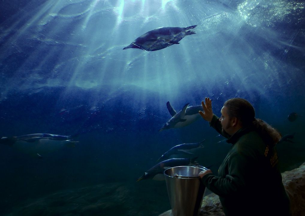 King Ping - Tippen Tappen Tödchen : Bild