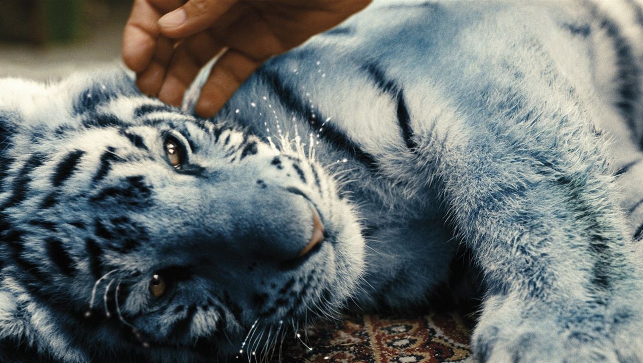 Der blaue Tiger : Bild