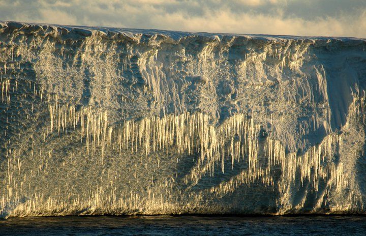 The Last Ocean : Bild