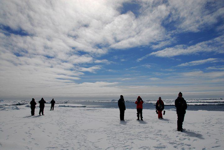 The Last Ocean : Bild