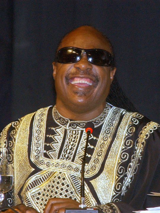 Kinoposter Stevie Wonder