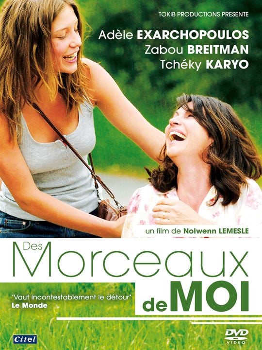 Des Morceaux de Moi : Kinoposter