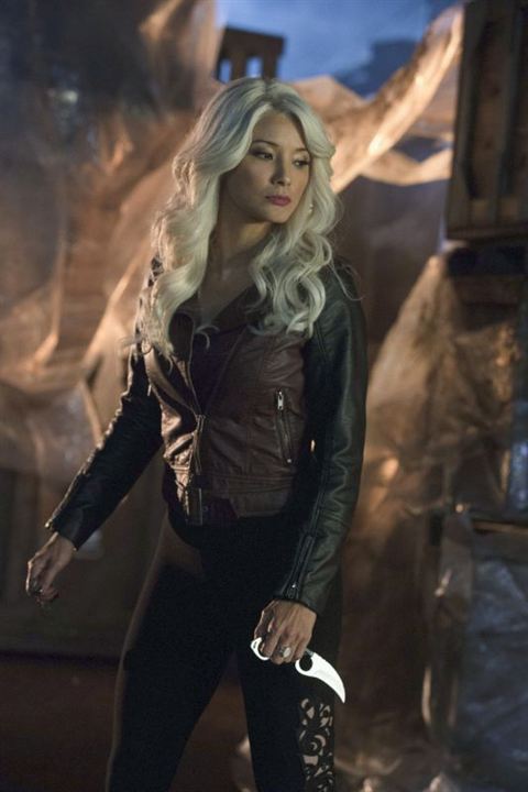 Arrow : Bild Kelly Hu