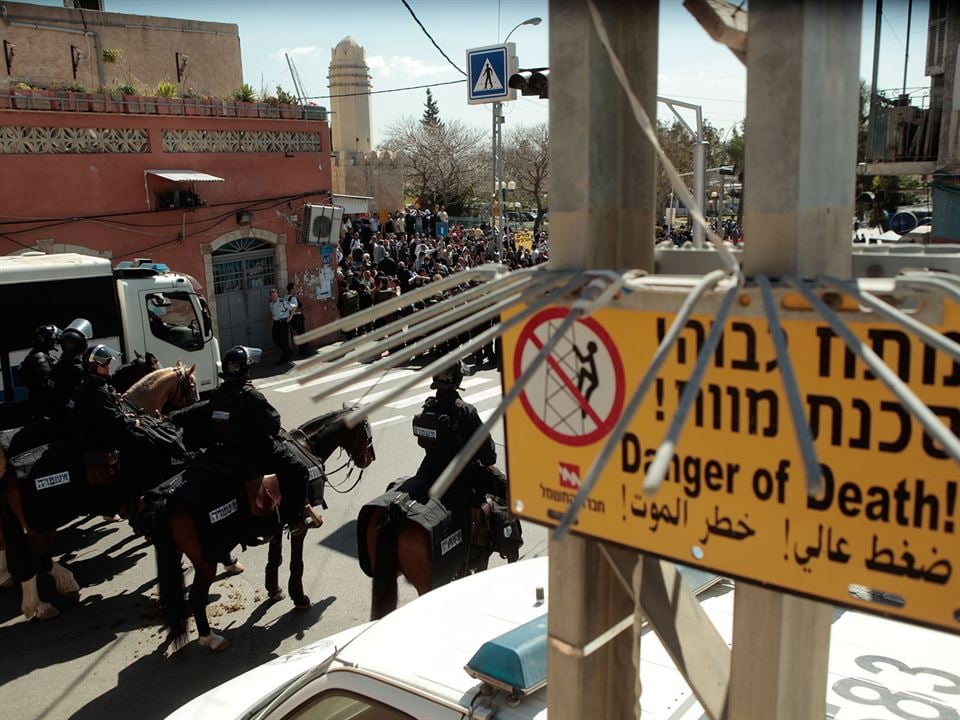 Dancing in Jaffa : Bild