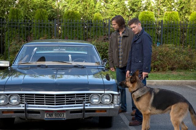 Supernatural : Kinoposter Jensen Ackles, Jared Padalecki