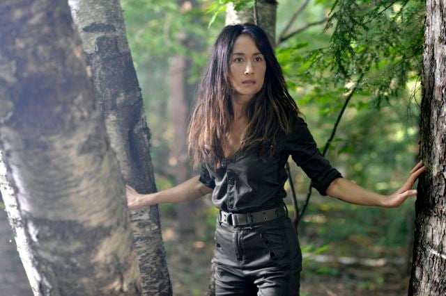 Bild Maggie Q