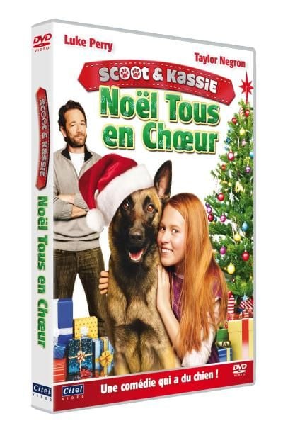 K9 - Das große Weihnachtsabenteuer : Kinoposter