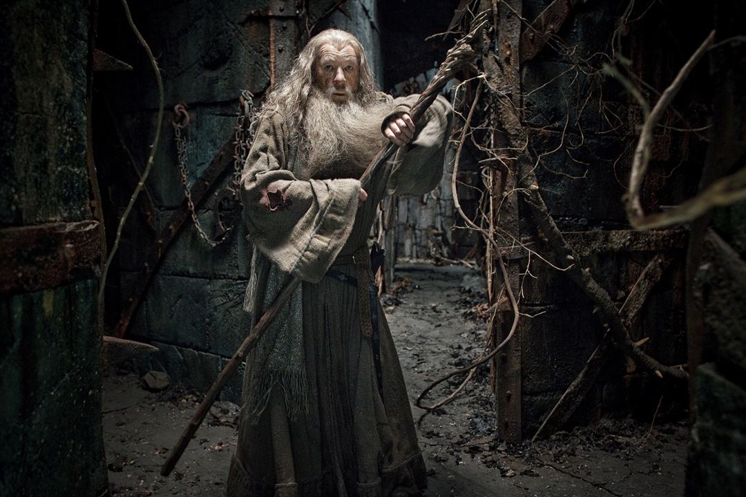 Der Hobbit: Smaugs Einöde : Bild Ian McKellen