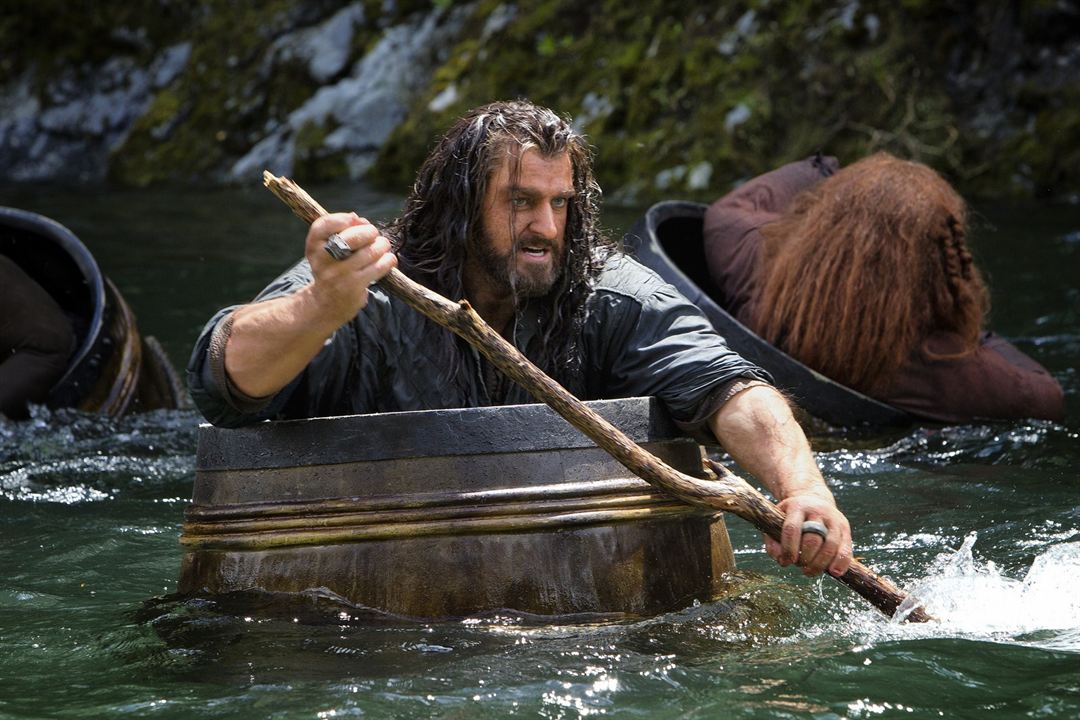 Der Hobbit: Smaugs Einöde : Bild Richard Armitage