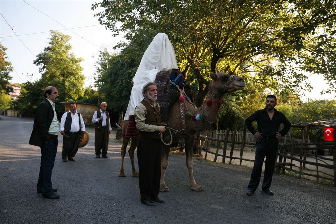 Düğün Dernek - Der Hochzeitsverein : Bild Şinasi Yurtsever, Murat Cemcir, Ahmet Kural