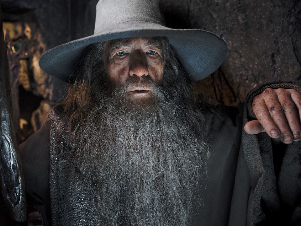 Der Hobbit: Smaugs Einöde : Bild Ian McKellen
