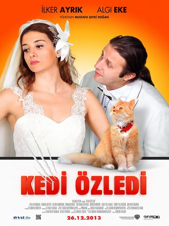 Kedi Özledi : Kinoposter