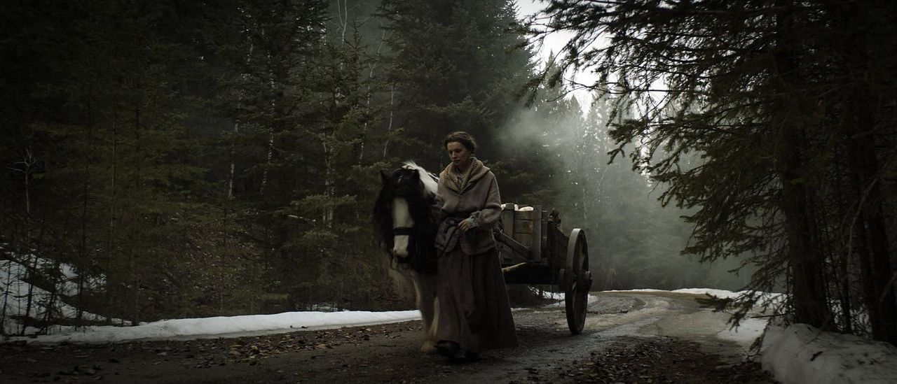 The Curse Of Audrey Earnshaw : Bild