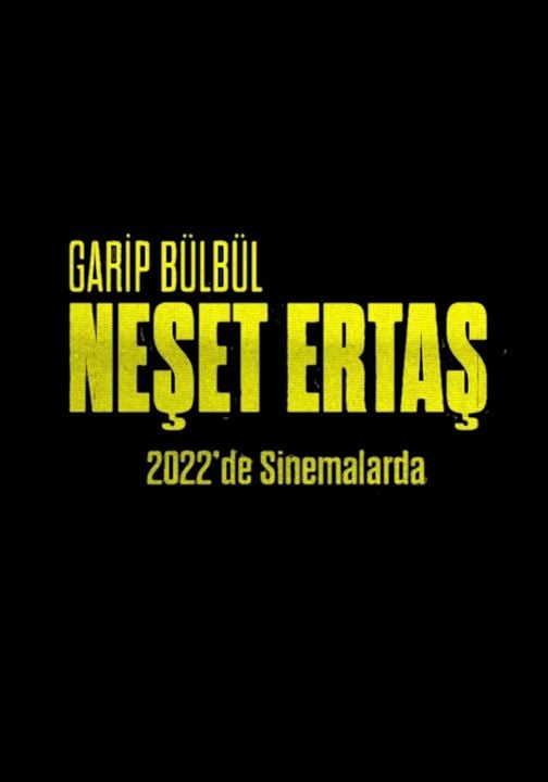 Garip Bülbül Neset Ertas : Kinoposter