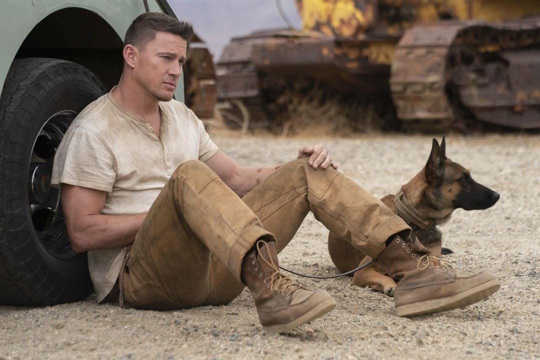 Dog - Das Glück hat vier Pfoten : Bild Channing Tatum