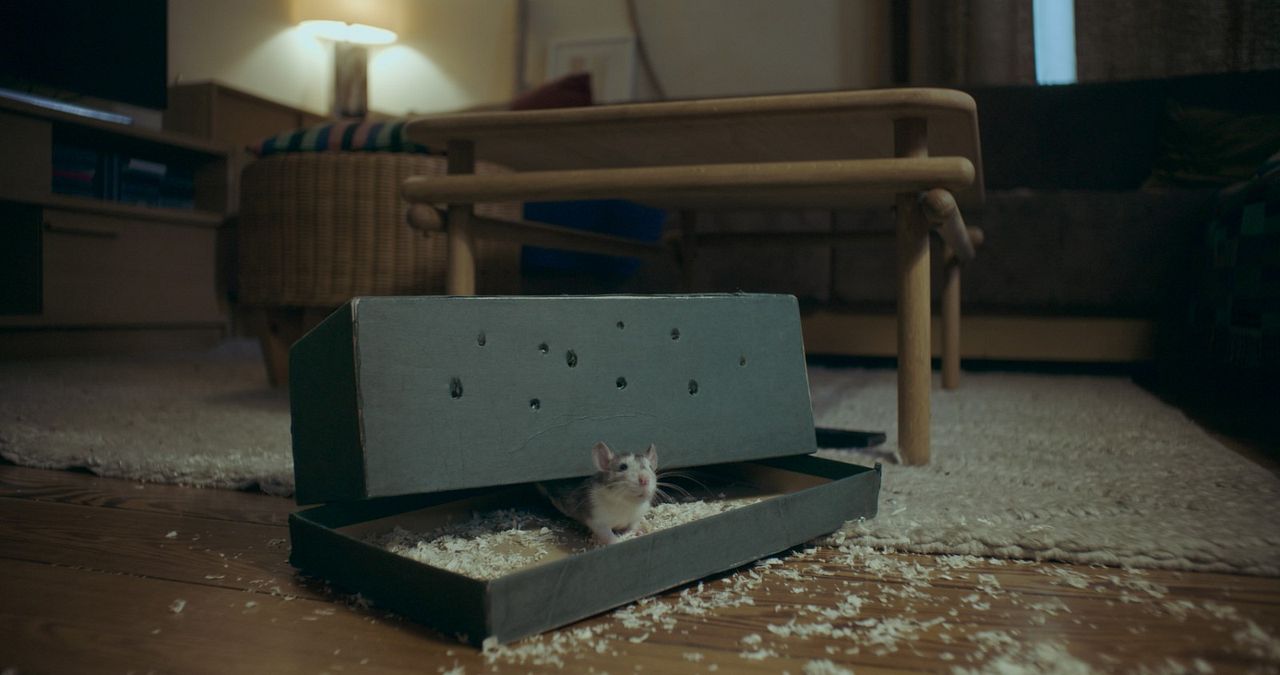 Der menschliche Faktor : Bild