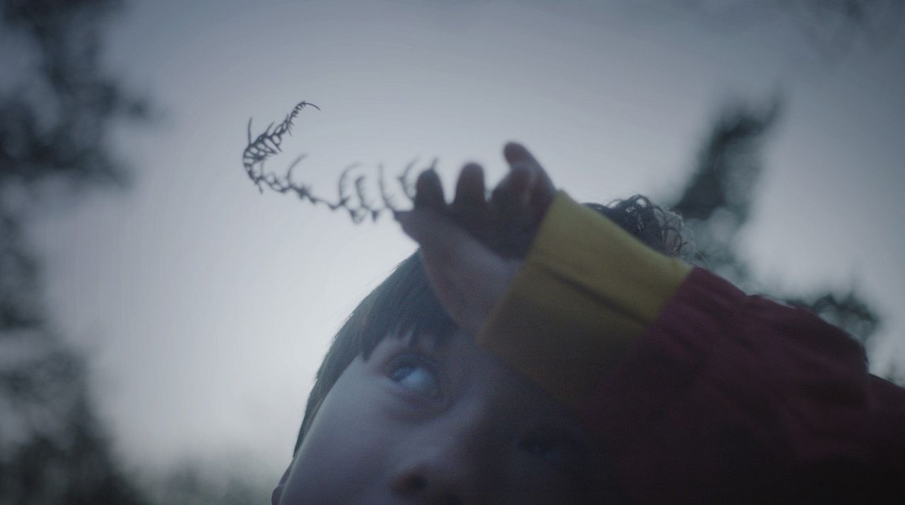 Warum ich euch nicht in die Augen schauen kann : Bild