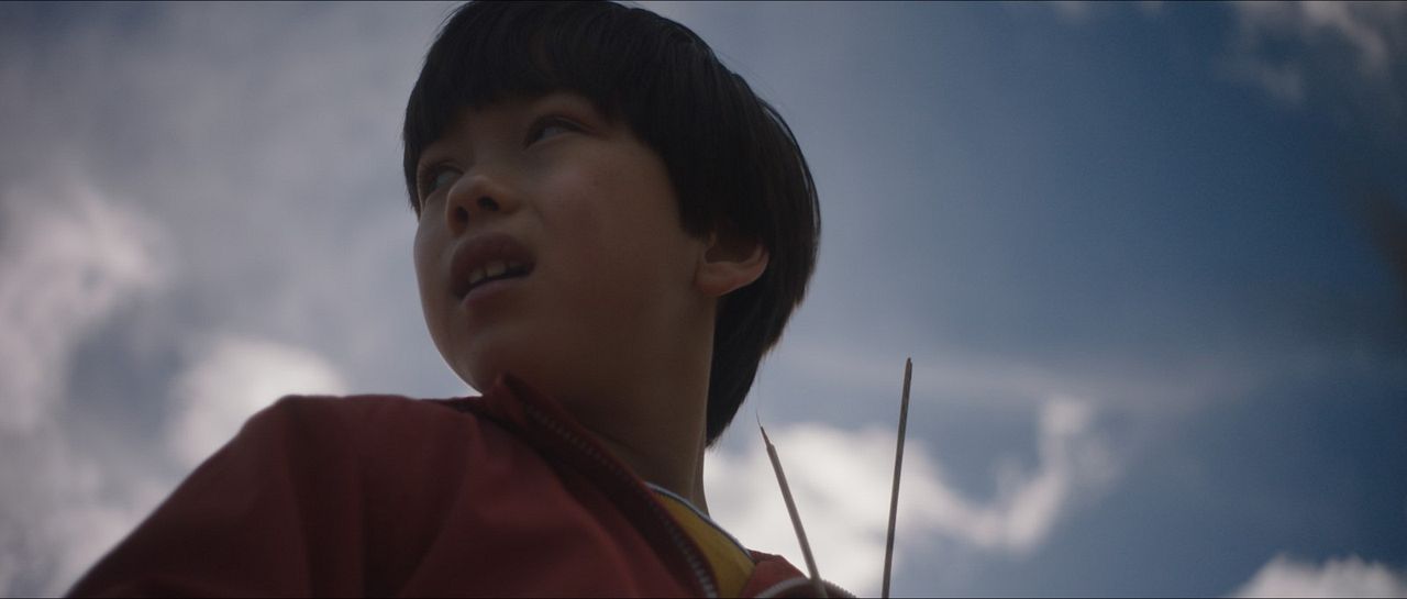 Warum ich euch nicht in die Augen schauen kann : Bild