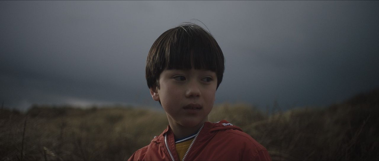 Warum ich euch nicht in die Augen schauen kann : Bild