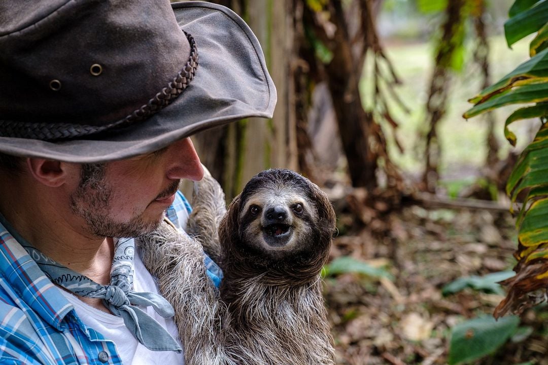 Willi und die Wunderkröte : Bild