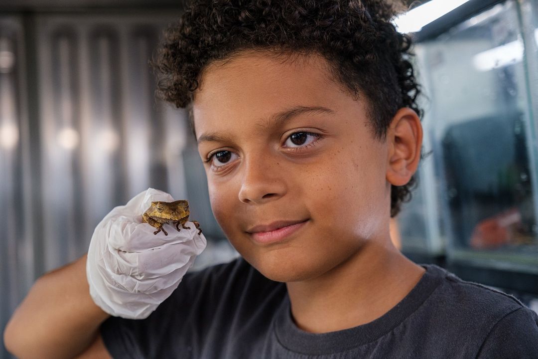 Willi und die Wunderkröte : Bild