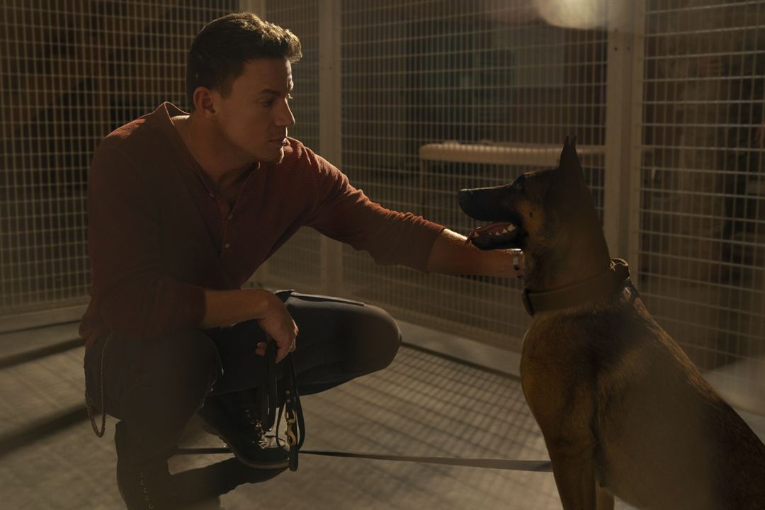 Dog - Das Glück hat vier Pfoten : Bild Channing Tatum