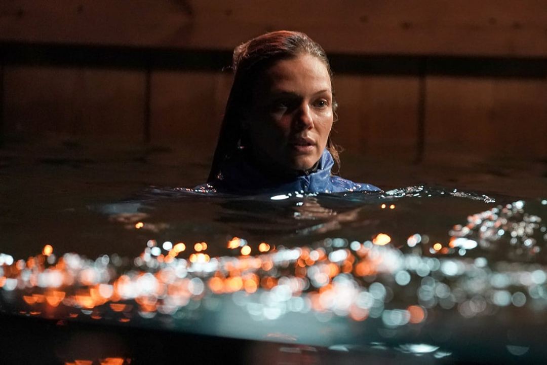 Chicago PD : Bild Tracy Spiridakos