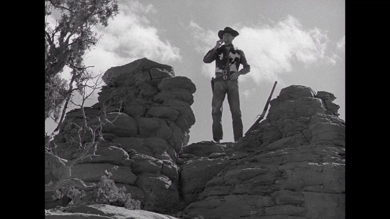 Der schwarze Reiter : Bild