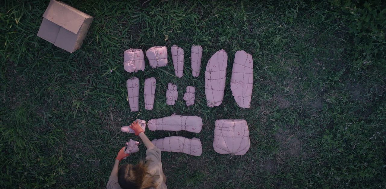 The Followers : Bild