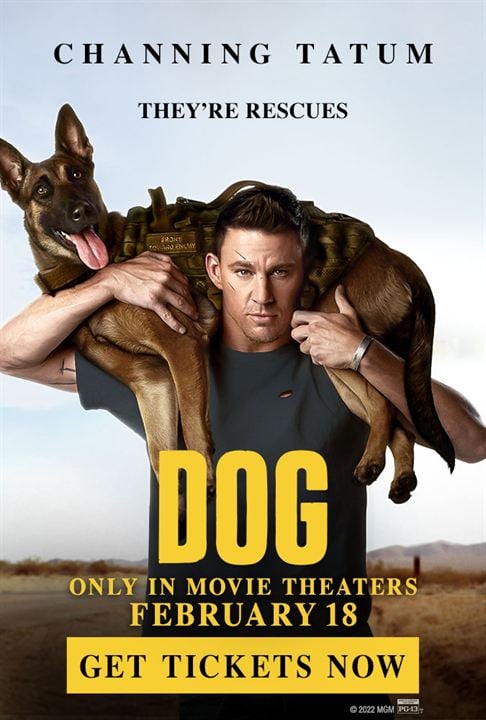 Dog - Das Glück hat vier Pfoten : Kinoposter