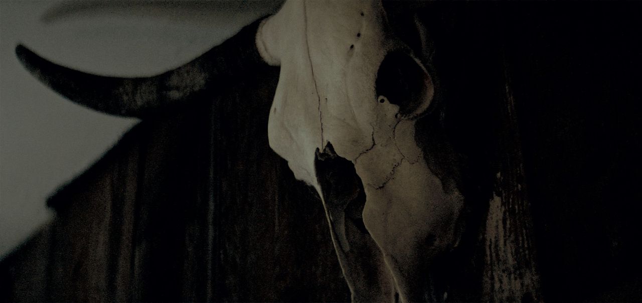 The Dark And The Wicked : Bild