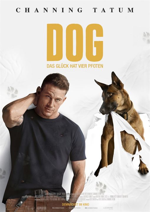 Dog - Das Glück hat vier Pfoten : Kinoposter